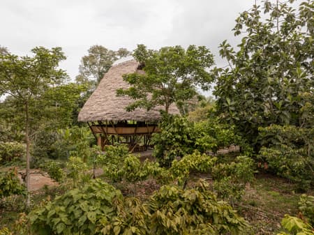 Yuyarina Pacha Kids Library
